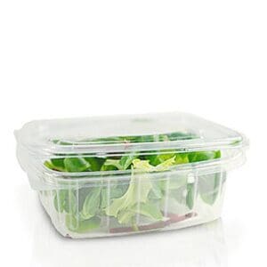 250cc plastic food container